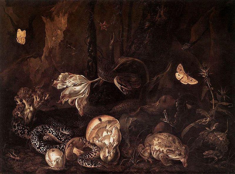 Otto Marseus van Schrieck Still life with Insects and Amphibians Spain oil painting art